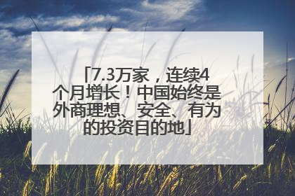 7.3万家,连续4个月增长!中国始终是外商理想、安全、有为的投资目的地