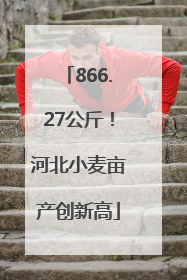 866.27公斤！河北小麦亩产创新高