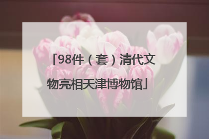 98件（套）清代文物亮相天津博物馆