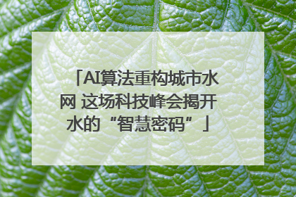 AI算法重构城市水网 这场科技峰会揭开水的“智慧密码”