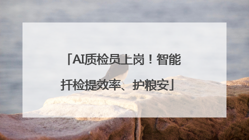 AI质检员上岗！智能扦检提效率、护粮安